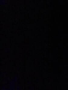 Innelagret bjørkeved