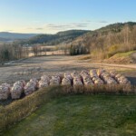 Bok, bjørk og askeved. 1000l