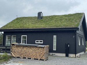 Tørr bjørkeved selges leveres kristiansandsområdet